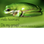 Helloyall