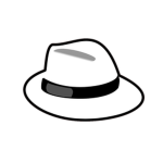 Fedora Studios Interactive