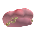 Roblox entity thumbnail