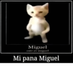 EEPIC GAMERS 20134