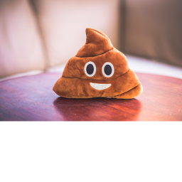 POO POO POO POO