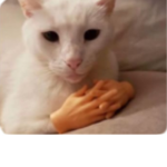مس برنسيسه