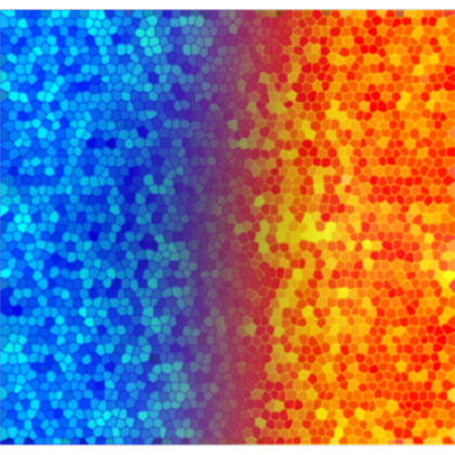 Omega Rainbow Texture Roblox decal