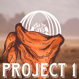 Project 1 : The Hot Desert