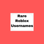 Rare Rοblοx Usernames