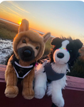 Besties of the year