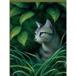 |ForestClan|