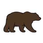 Edmonton Bears