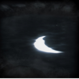 𝓞୨୧