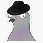 coo B