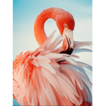 Flamingo sugar