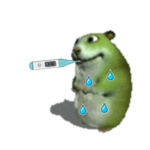 Ill Chomik