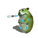 Ill Chomik