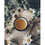 ༻My Sweet Tea༺