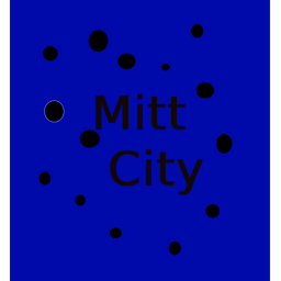 Mitt City🏡