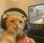 Kiddo's UGC