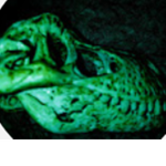 DINOSAUR TERROR fan club
