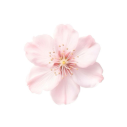 ・꒷︶꒦ ˚ • ・ ˚