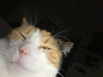 Nora’s community group