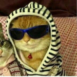 Topra dos Cria