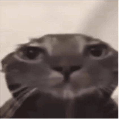 cat Roblox decal