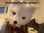 ~Schneefuchs army~