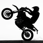 Project: Wheelie