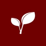 Kingston Point Secondary