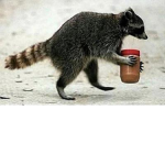 Fangriders Fan Club