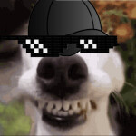 Obby but ur a farting dog