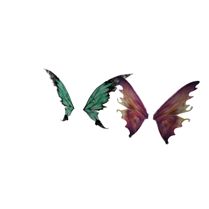 2 wings