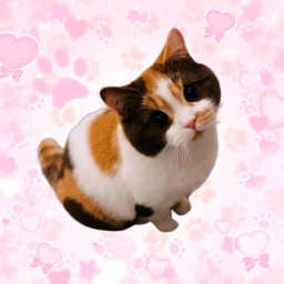 ✩
