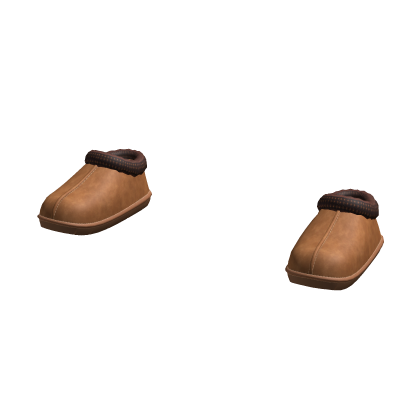 UGG Slippers