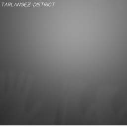 Tarlangez District