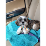 Smorethedog