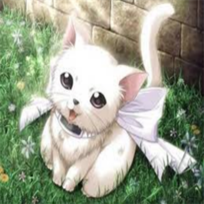 For Cat Roblox decal