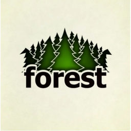abandoned forest