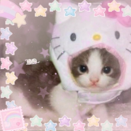✧･ﾟ: *
