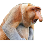 chee-zits