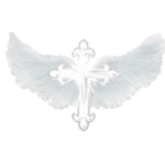 dear jesus