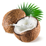 Tropical coconut squad