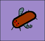 Dead Bug Studios