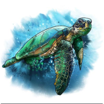 Turtles and Rabbit fan group