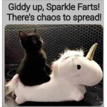 Join if your a cat person
