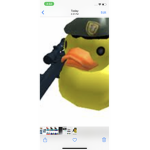 Ducks revenge