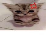 pulgosos