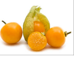 Latern Fruits >w<