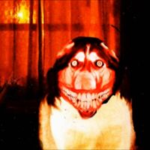 smile.jpg