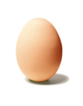 EGGBL0X