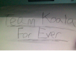 #Koala For Ever